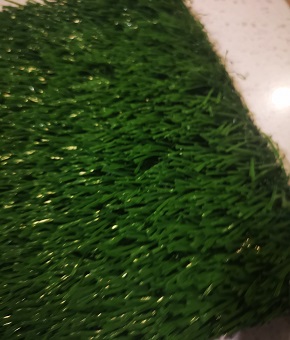 草坪顏色區(qū)別